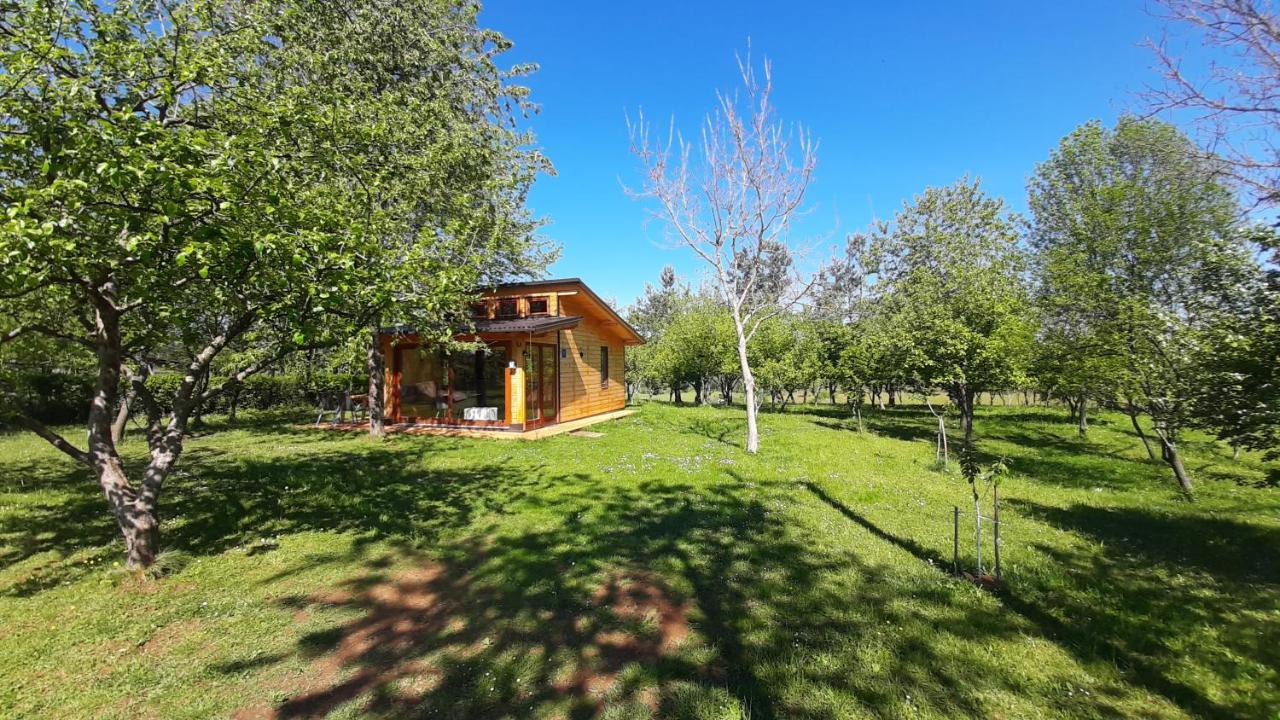 Tiny House Grabovac Villa Rakovica Buitenkant foto